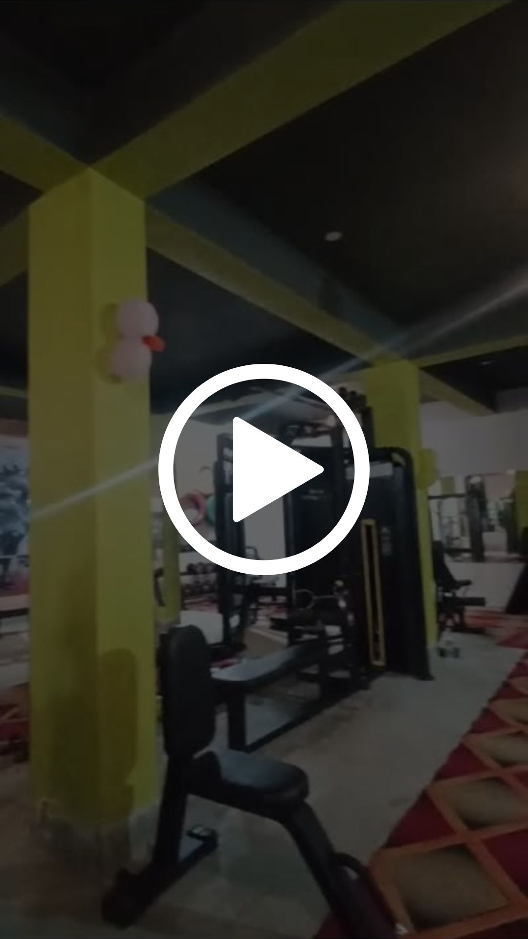 Avini's Gym