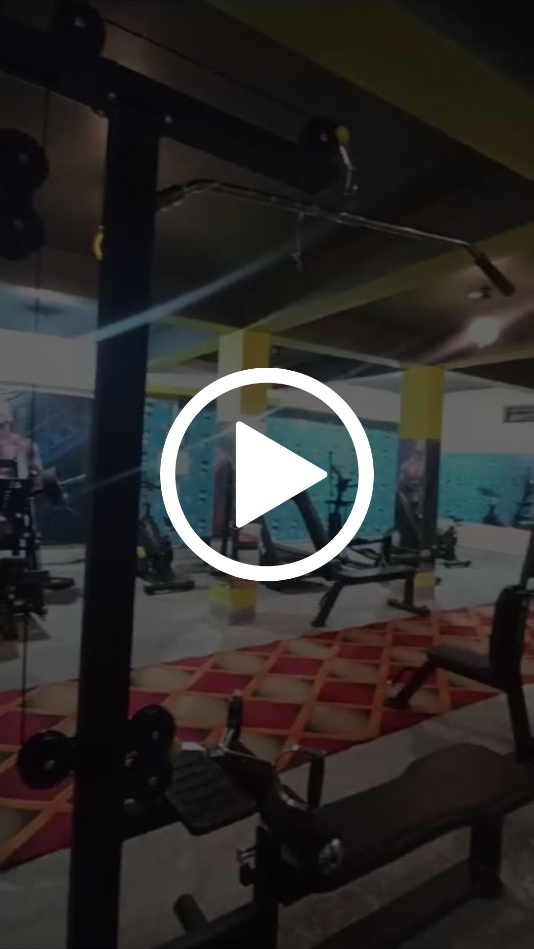Avini's Gym